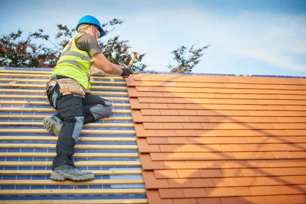 Best Asphalt Shingle Roofing  in Alto, TX